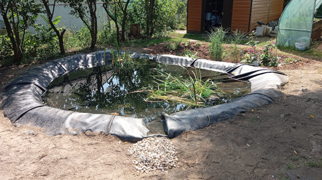 Das Bild zeigt einen mit Teichfolie gebauten Gartenteich von 2,5 Meter Durchmesser. Die Folie ist am Ufer wulstförmig erhöht und befestigt. Im Vordergrund befindet sich in der Wulst eine zirka 15 Zetimeter breite Lücke, die als Überlauf bei starken Regenfällen dient. Im Teich befindet sich bereits Wasser und einige Wasserpflanzen.